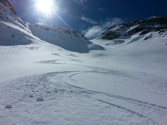 Grand pinier à ski.